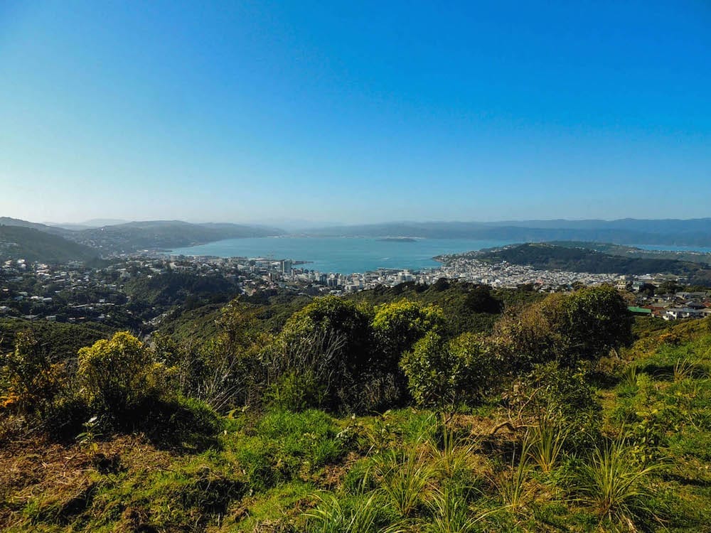 Hawkins Hill: The Hidden Gem of Wellington, New Zealand