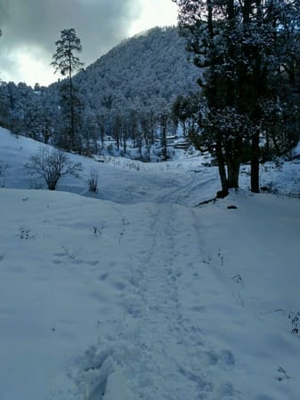 Dayara Bugyal: A winter trek in India: photo 4
