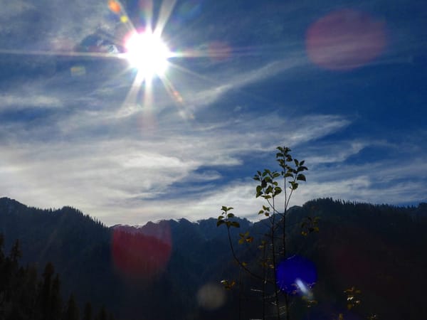 A pet-friendly cross country journey to Himachal Pradesh, India: photo 7