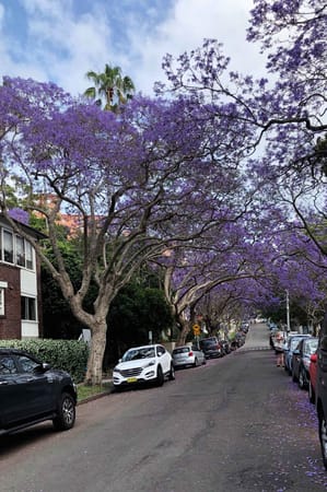 10 Best Things to Do in Sydney: photo 9