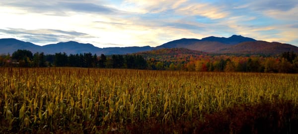 Falling for Northern Vermont: The Ultimate Road Trip.: photo 4