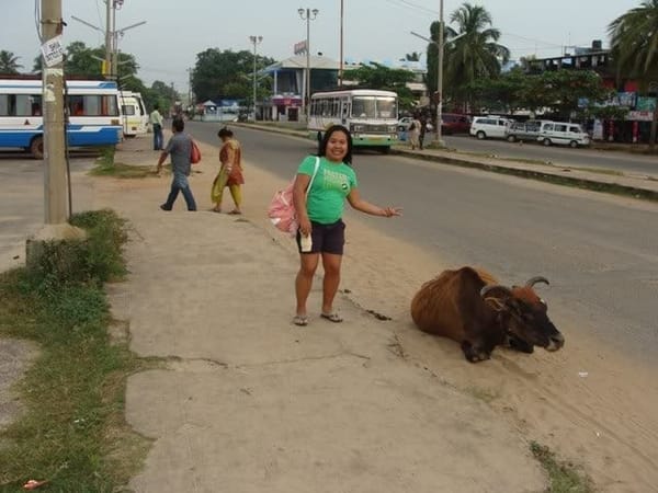 Goa: Living with locals: photo 5