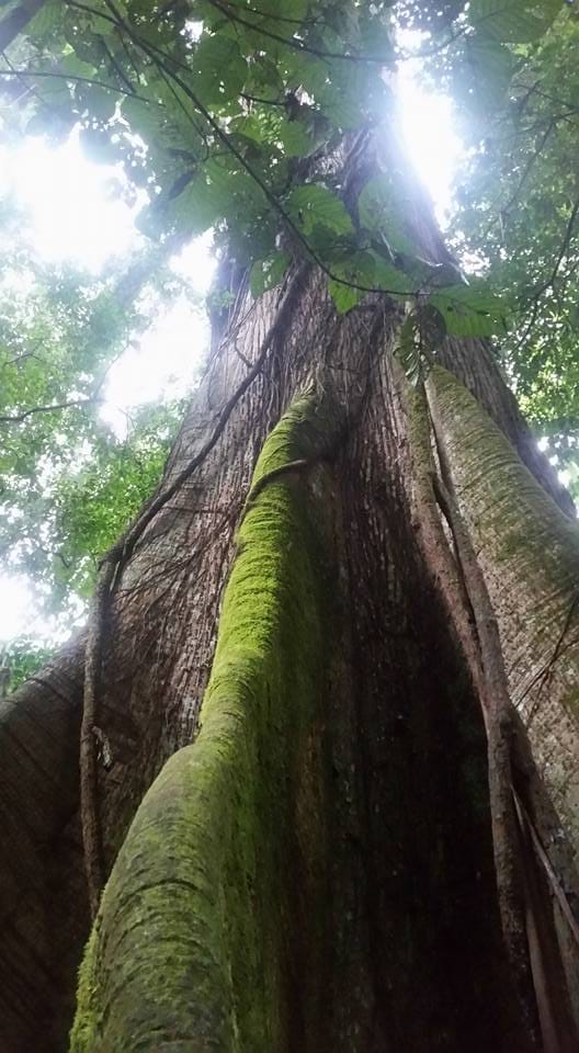 La Fortuna, Costa Rica