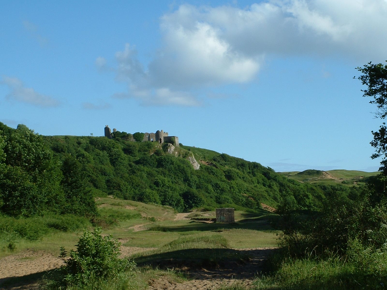 Adder, sparrowhawk and royalty on Gower, Wales