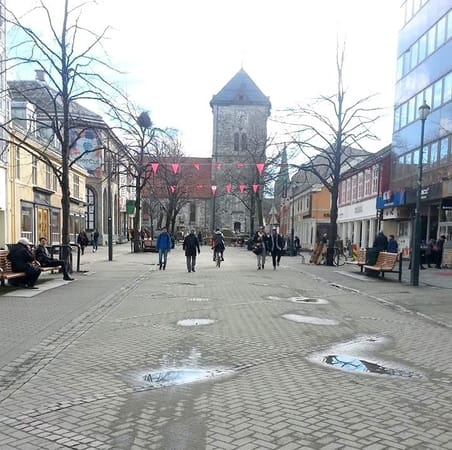 Trondheim, Norway: Northern lights and dog-sledding: photo 5