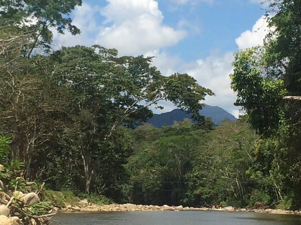 San Roque De Cumbaza a hidden paradise in the Peruvian Amazon.: photo 6