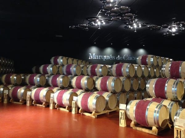 A Day in Spain’s Wine Country: Travel Guide for Logroño, La Rioja: photo 6