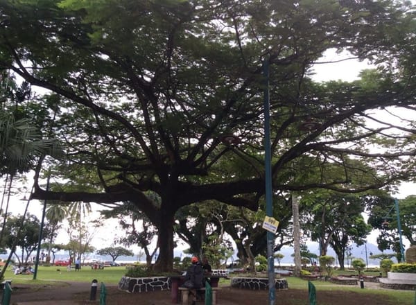 Five Things You Should Know Before Going to Fiji: photo 1