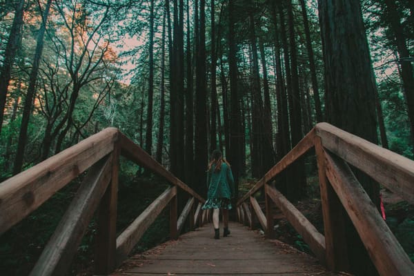 The Locals Guide to Big Sur, California: photo 1