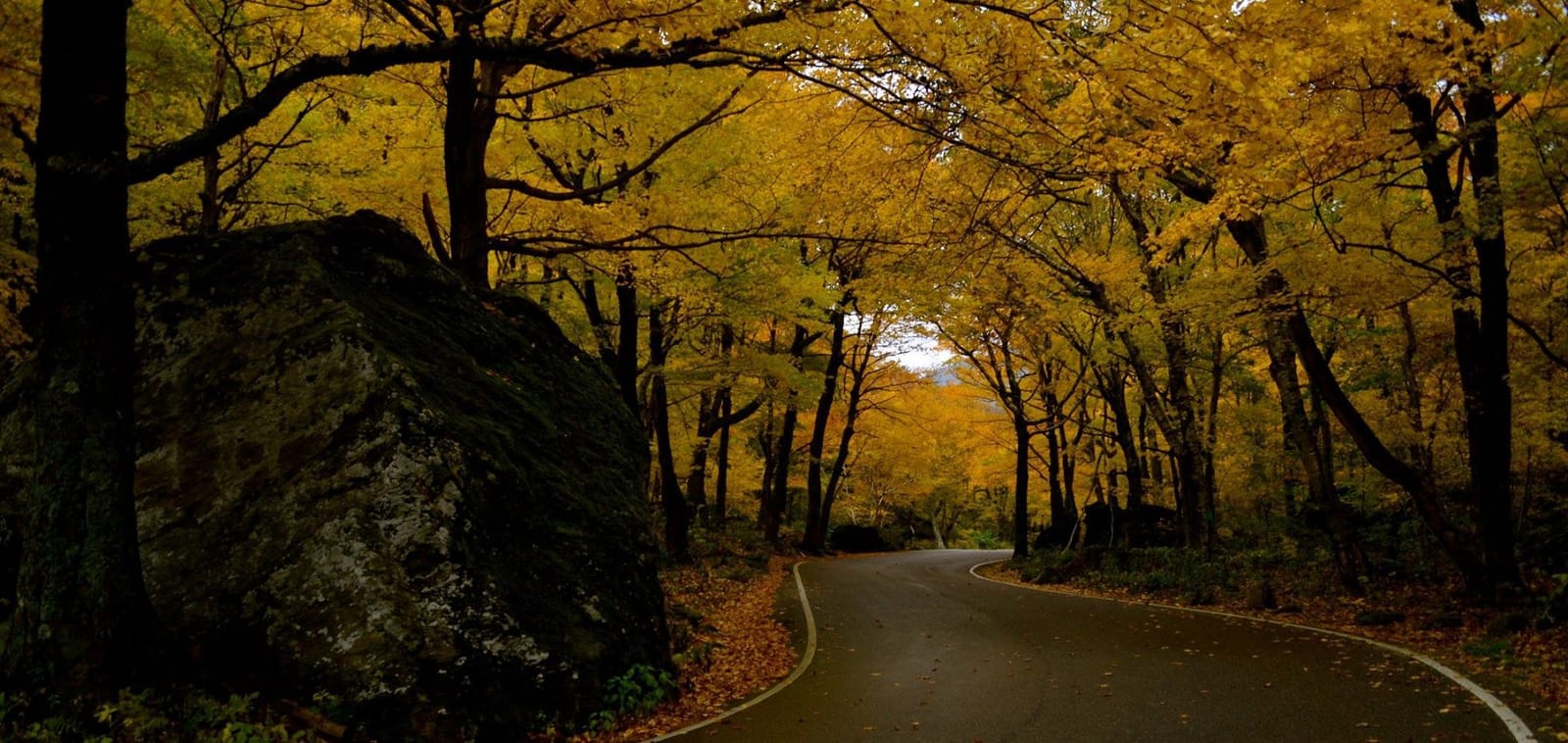 Falling for Northern Vermont: The Ultimate Road Trip.