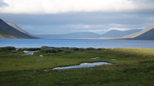 Chukotka, Russia: travelling in the Arctic: photo 5