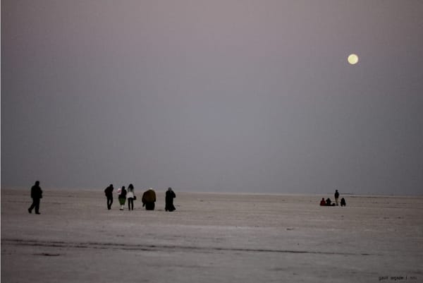 The White Desert : Rann of Kutch: photo 11