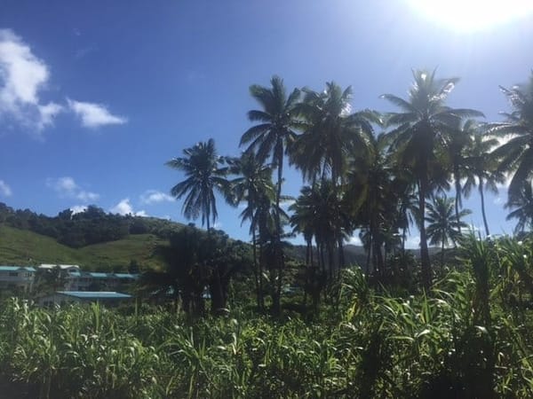 Fiji Beachouse: The Best Place to Stay on the Coral Coast: photo 3