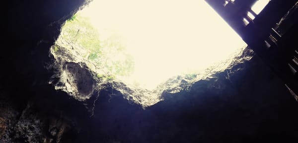 MÉXICO :THE PORTALS TO AN UNKNOWN PARADISE CALLED CENOTES: photo 9