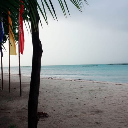 Cayucyucan Beach: Have It All For Your Own: photo 3
