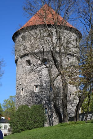 Tallinn: A Medieval Journey: photo 3