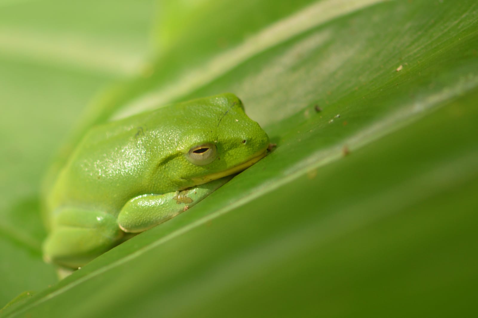 Fuyang Ecological Park: a hidden paradise in the Taipei city