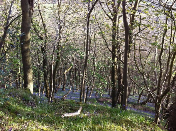 Somerset by bike: the best way to explore South West England: photo 2