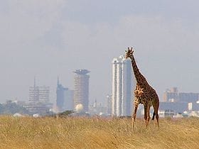 Top 5 Must Do's in Nairobi: photo 1