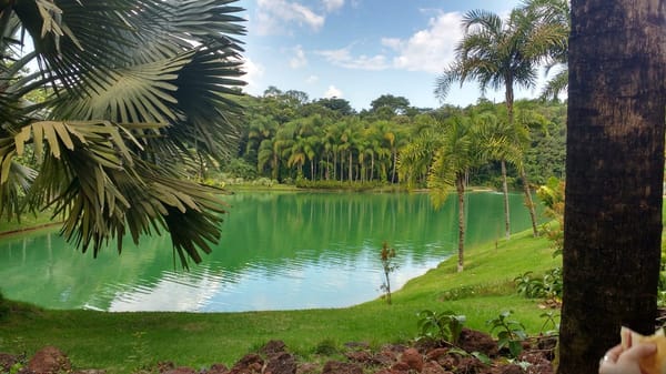 INHOTIM: A unique combination of Nature and Art in MG - Brazil: photo 8