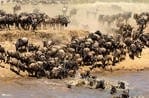 Travel Guide for top 4 Kenyan Sites: photo 4